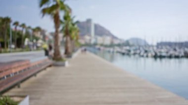 Sahil şeridi bulanıklaştı. Palmiye ağaçları, banklar, yatlar, dağlar, binalar yumuşak odaklı manzaralı bir arka plan oluşturuyor.