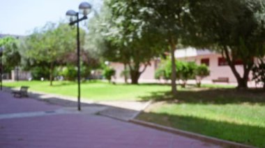 Odaklanamayan ağaçlar ve park ayarlarındaki bokeh efekt direkleriyle bulanık arka plan