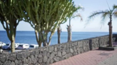 Ianzarote İspanya 'da bulanık deniz kenarı gezintisi. Okyanusa bakan kaktüslerle ve mavi gökyüzüyle.