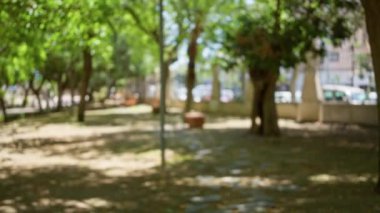 Açık hava parkı sahnesi bulanık. Güneşli bir günde ağaçlar ve gölgeler sakin bir atmosfer yaratıyor.