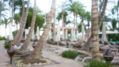 Palmiye ağaçları, şezlonglar ve arka plandaki şemsiyeler ile tropikal tatil beldesinin bulanık görüntüsü