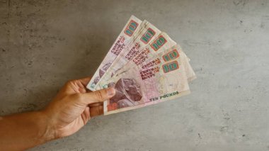 Yerel para biriminin somut arka plan gösterimine karşı el ele tutuşmuş Mısır sterlini