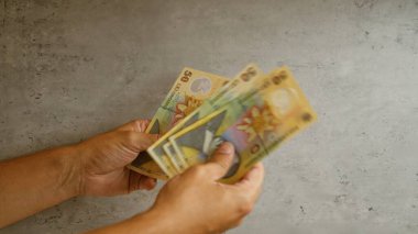 Romen lei banknotlarını somut bir arka planda tutan eller, canlı renkleri ve para biriminin ayrıntılarını gözler önüne seriyor.