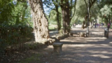 Roma 'daki villa borghese bahçelerinin bulanık görüntüsü... İtalyan güneşinin altında yemyeşil ve sakin açık hava karışımı sergileniyor..