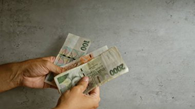 Elleri ve parmakları görünürde beton bir arka planda olan Czech Koruna banknotlarını sayan kişi.