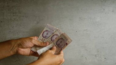 Somut bir arkaplan karşısında tek kişilik dolarları tutan eller, yerel para birimlerini ayrıntılı olarak gösteriyor.