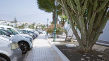 Lanzarote 'de bir caddenin bulanık görüntüsü, park halindeki arabalar, ağaçlar ve açık kanarya adalarında bir kaldırım.