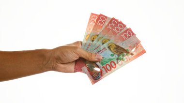 Yeni Zelanda dolarlarını izole edilmiş beyaz arka planda tutarken stüdyo ortamında 100 dolarlık banknotlar sergiliyor..