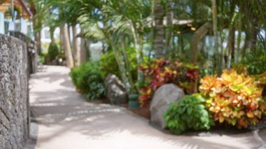 Güneşli bir tatil köyünde, tropikal bitki ve ağaçlarla kaplı bulanık bir patika, canlı yapraklar sergiliyor ve arka planda çözülmüş manzaralar.