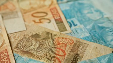 Masadaki renkli Brezilya banknotlarının yakın çekimi, para biriminin detaylı tasarımı ve vahşi yaşam görüntülerini gözler önüne seriyor..