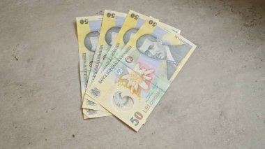 Romen banknotları, para biriminin karmaşık tasarımı ve ulusal unsurlarını gözler önüne seren somut bir yüzey üzerinde duruyorlar.