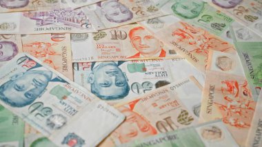 Singapur banknotları, Singapur 'un kültürel ve ekonomik özünü tasvir eden, renkli ve ayrıntılı bir dizi olarak dağılmış çeşitli Singapur dolarları sergiliyor..