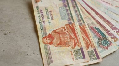 Beton bir yüzeye serilmiş kiloları resmeden Mısır banknotları canlı tasarım ve kültürel unsurları sergiliyor..