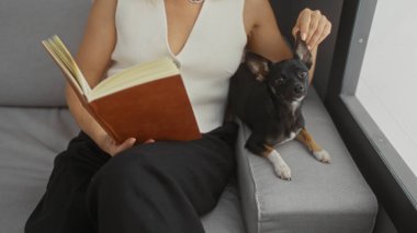 Kanepede kitap okuyan bir kadın Chihuahua 'sı rahat bir oturma odasında yanında otururken.