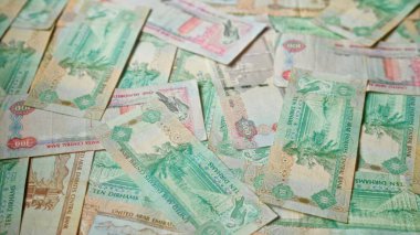 Birleşik Arap Emirlikleri 'nin para biriminin canlı banknotlarını detaylı bir yakın plan çekimle vurgulayan çeşitli mezheplere dağılmış Uae dirhams.