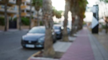 Park halindeki arabaların, palmiye ağaçlarının ve bulanık arka planların olduğu açık hava manzarası kentsel bir ortam olduğunu gösteriyor..