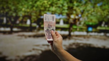 Şehir ortamında bulanık park geçmişi olan, iş ve finans ile ilgili yatırım, para birimi ve ekonomik temaları tasvir eden, İzlanda Krona açık hava banknotları.