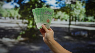 El ele tutuşan Malezya ringgit banknotları açık havada canlı şehir parkında şehir hayatı bağlamında iş ve para örneklendirme.