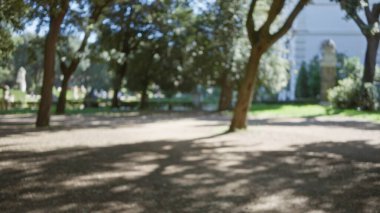 Roma 'daki ıssız ağaçların ve doğal ışığın olduğu villa borghese bahçelerinin bulanık görüntüsü, sakin ve sakin bir açık hava ortamı yaratıyor..