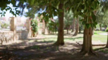 Ağaçlı bir açık hava parkının, yaprakların arasından süzülen güneş ışığının ve arka planda taş bir çitin çözülmüş görüntüsü.