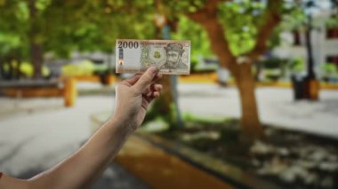 Canlı bir park ortamında, açık havada Macar banknotları tutan adam zengin yeşil bir arka plana karşı para ve finansal tema sergiliyor..