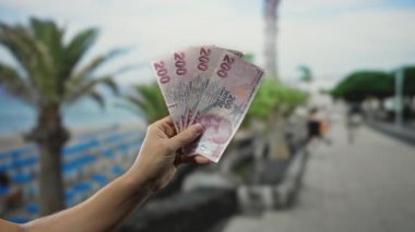 Sahilde el ele tutuşmuş Türk lirası banknotları. Arka planda plaj manzarası var. Açık hava yaz finans ve tatil sahnesini çekiyor..