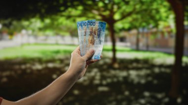 Elinde İsviçre frangı banknotları tutan bir adam park bahçesinde, doğal yeşil arka plan gösterim para değişimi konseptine sahip..