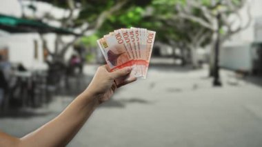 Norveç Kronu 'nu elinde tutan adam, arka planda bulanık ağaçlar olan bir caddede açık hava banknotları tutuyor ve kentsel mali işlemlerin özünü yakalıyor..