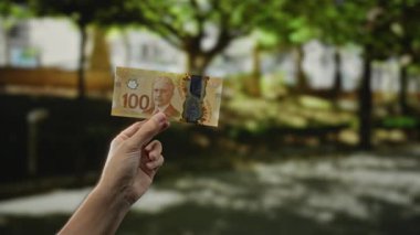 Kanada 'nın 100 dolarlık banknotunu elinde tutan adam, yemyeşil yemyeşil bir bahçenin içinde güneşli bir parkta..