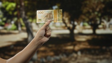 Norveçli bir kronu açık hava parkı ortamında tutan adam, doğal yeşilliklerle çevrili, bulanık bir bahçe zeminine karşı para sergiliyor..