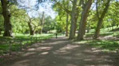 Villa borghese bahçelerindeki dingin bir yolun bulanık görüntüsü, canlı yeşillik ve güneşli bir gökyüzü altında uzak odaksız figürler.