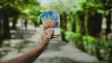 İsviçre frangı banknotları açık havada, verimli bir park ortamında, finans ve eğlence üzerine vurgu yaparak doğal ortamlarda döviz alışverişini vurguluyor..