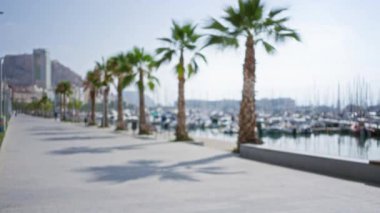 Güneşli bir günde arka planda bulanıklaşan tekne ve binalarla marina yakınlarındaki palmiye ağaçlarıyla kaplı bir yürüyüş yolu.