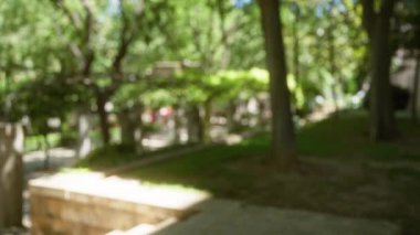 Mallorca 'daki bulanık açık hava parkı sahnesi parktaki odağını kaybetmiş ağaçları ve arka planını gün ışığında gösteriyor..