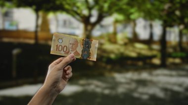 Açık hava parkında el ele tutuşan Kanada banknotları, bulanık yeşil bahçe arka planına sahip, doğal ışık odaklı olarak belirgin para birimini gösteriyor..