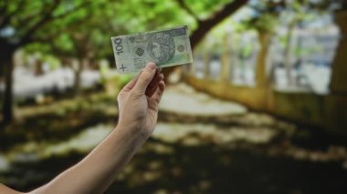 Park ortamında elinde Polonya 'nın zloti banknotları olan bir adam, canlı bahçe arka planına el uzatılmış para ve doğa paralarını ön plana çıkarıyor..