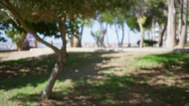 Yeşil ağaçlar ve mavi gökyüzü ile odaksız park manzarası, gölgeli alanlar ve uzak arkaplan elementleri ile sakin ve bulanık bir açık hava ayarı yakalamak.