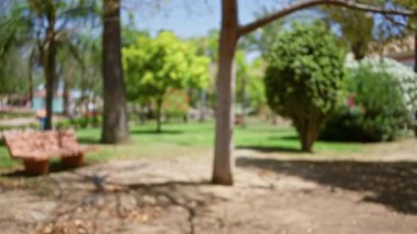 Ağaçlar, çimenler, banklar ve güneş ışığıyla dolu bir açık hava parkının bulanık fotoğrafı huzurlu ve huzurlu bir ortam yaratıyor..