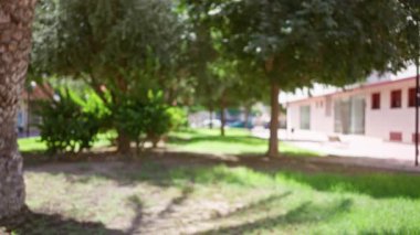 Güneşli bir parkta ağaçların ve çimlerin olduğu bulanık açık hava sahnesinde arka planda binalar görülüyor.