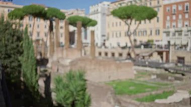 Roma 'daki antik Roma harabeleri, güneşli açık havada ağaçlar ve tarihi binalar, şehir ortamında doğa ve tarihin karışımını gözler önüne seriyor..