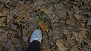 Sonbahar yapraklarıyla kaplı bir yolda yürüyen bir kadın orman ortamında spor ayakkabısıyla tek bir ayak gösteriyor. Huzur ve doğa keşiflerini ima ediyor..