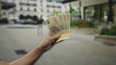 Norveç Kronu 'nu elinde tutan adam işlek bir şehir caddesinde, halka açık bir ortamda finansal temalar öneren şehir zeminine karşı belirgin bir para birimi sergiliyor..