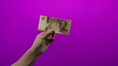 Canlı mor bir duvar zeminine karşı izole edilmiş Macar forint banknotunu tutan bir adamın eli, paranın detaylarını ve renk karşıtlığını vurguluyor..