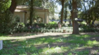 Villa Borghese Bahçeleri 'nde bulanık bir manzara. Odaklanmamış yapraklar ve açık havada, arka planda insanlar ağaçların altında sakin ve rahat bir atmosfer yaratıyor..