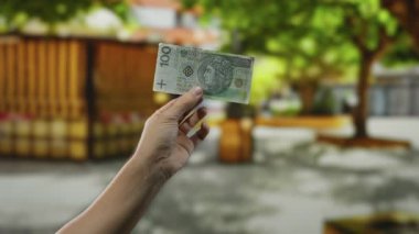 Elinde Polonya 'nın zloti banknotları olan bir adam, arka planda park ağaçları ve bahçe kurarak para birimi bağlamını sergiliyor..