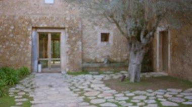 Bahçesinde kırsal bir kapı ve zeytin ağacı olan eski bir Akdeniz taş evinin bulanık manzarası..