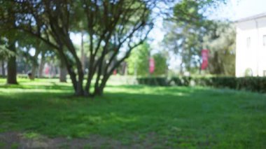 Roma 'daki villa borghese' deki yeşil parkın bulanık manzarası. Ağaçlar ve doğa güneşli bir açık hava ortamında. Şehir yaşamının ortasında huzurlu ve huzurlu bir ortam var..