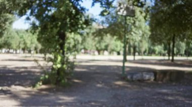 Roma 'daki ıssız ağaçlarla kaplı villa borghese bahçelerinin bulanık manzarası güneşli bir günde sakin bir açık hava manzarasını gösteriyor..