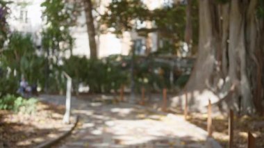 Büyük ağaçlarla parktaki odaksız yol bulanık bitki örtüsü ve güneş ışığı doğal bokeh etkisi yaratıyor