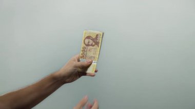 Bir elinde Macar forint banknotları tutan adam izole edilmiş beyaz arka planda, paranın benzersiz tasarımı ve detaylarına odaklanmış para sayıyor..